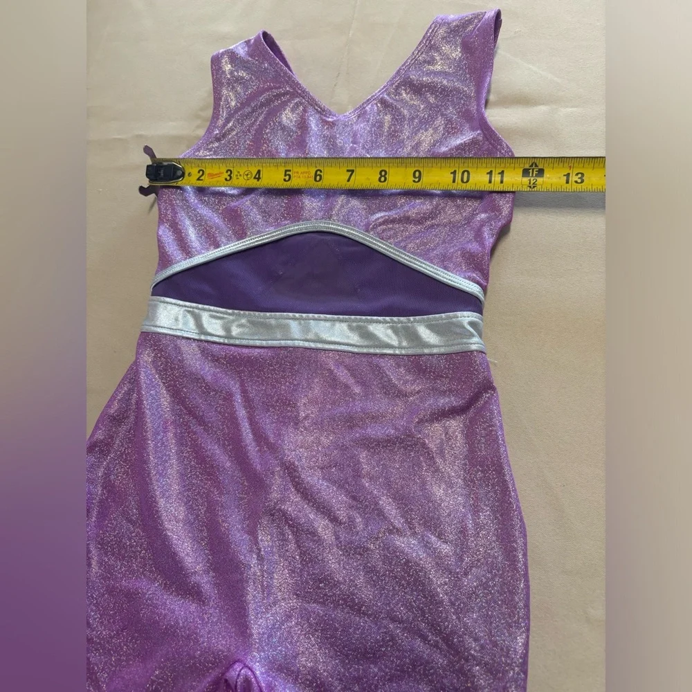 More Than‎ Magic Sparkling Purple Leotard
